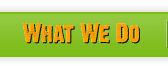 What We Do